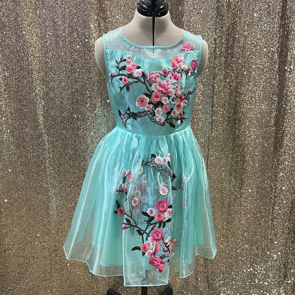 Floral Embroidered Dress - Aqua and Pink